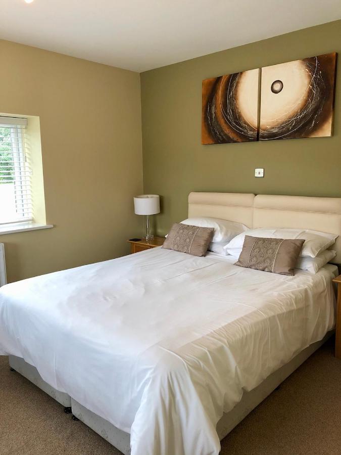 Bed and Breakfast Emlyn Arms Llanarthney Exterior foto
