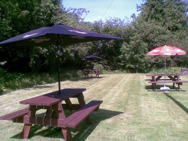 Bed and Breakfast Emlyn Arms Llanarthney Exterior foto